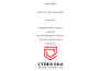 provide expert information security consultation services